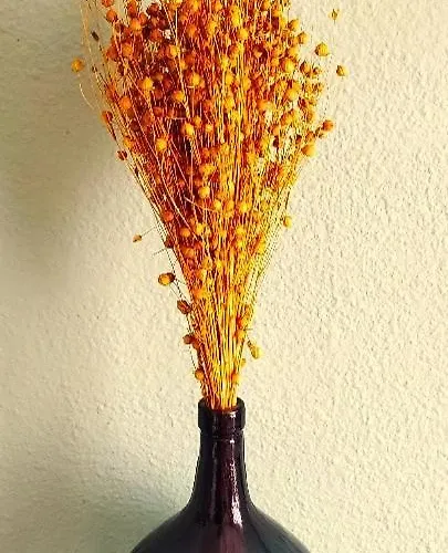 Apartman Cosy Proche *